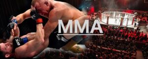 Atrium-Sports-MMA-Hamburg