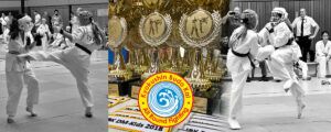 Kampfsport-Hamburg-Kindermeisterschaft-Header